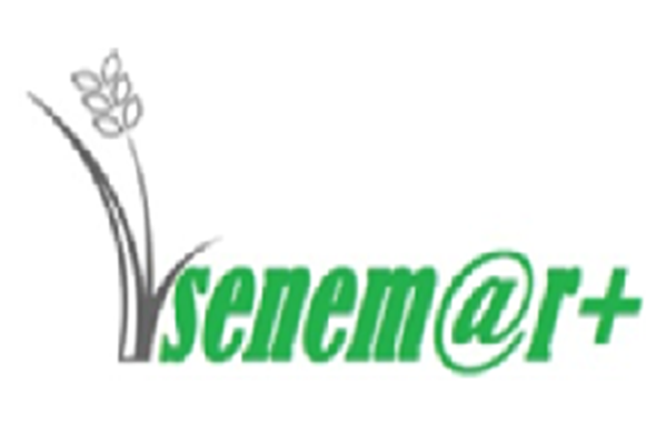 SENEM@R+